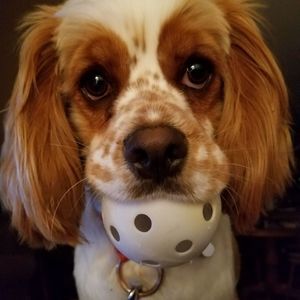 Meet your Posher, Mylene